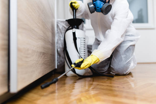 Best Exterminator Services  in Lone Jack, MO