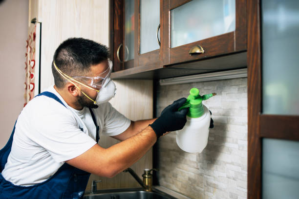 Best Bed Bug Extermination  in Lone Jack, MO