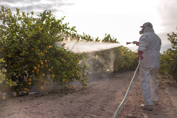 Best Pest Removal Services  in Lone Jack, MO