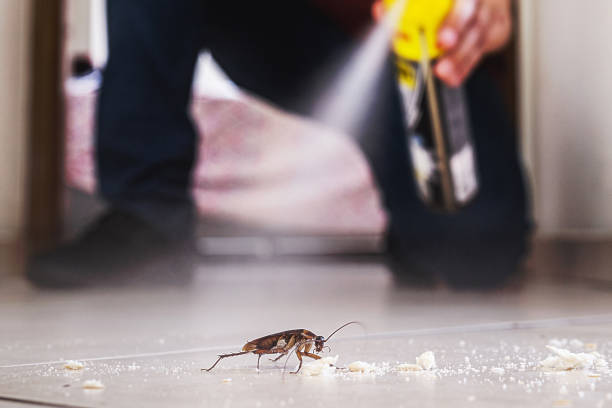 Best Best Pest Control Companies  in Lone Jack, MO
